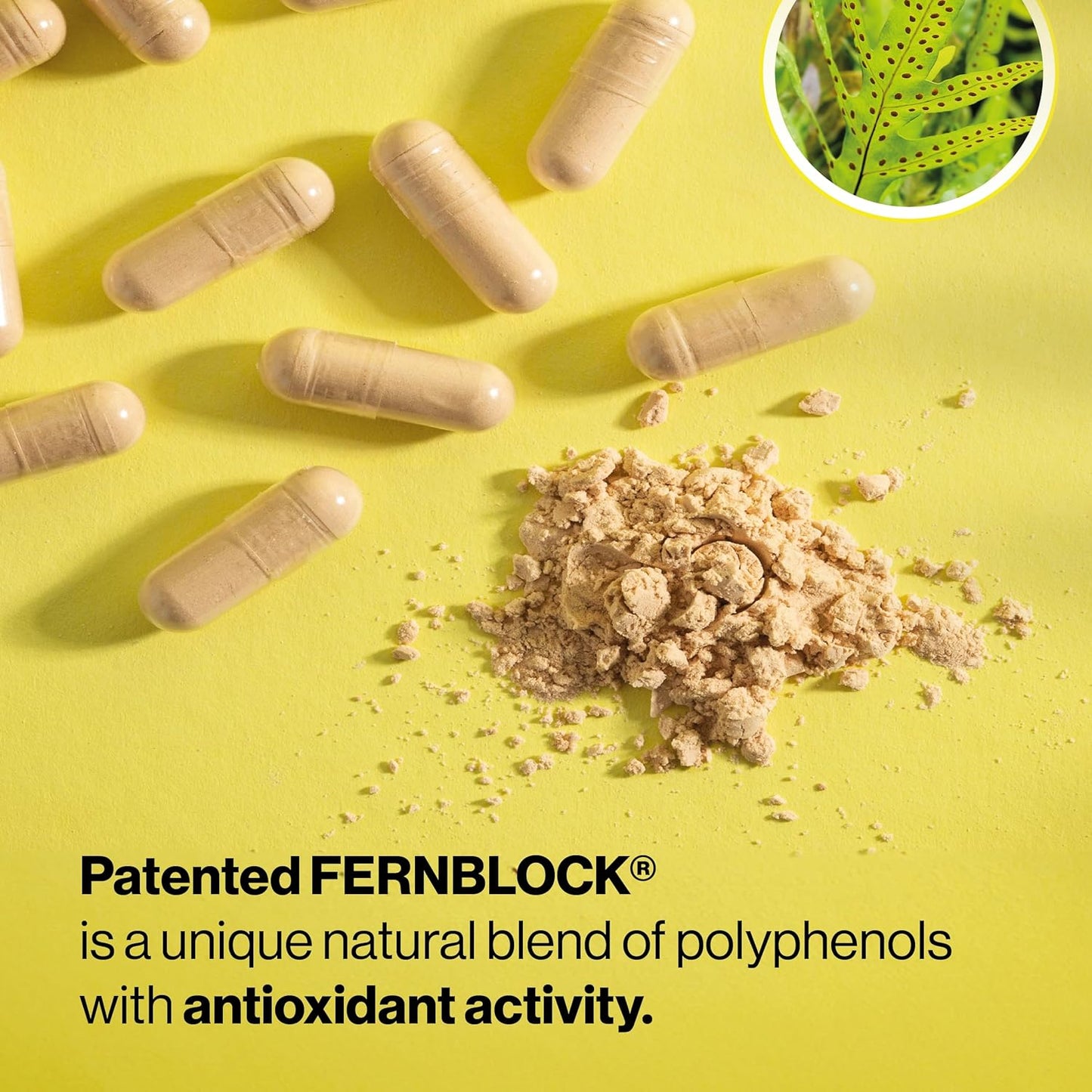 Helocre Skin Care Dietary Supplement: 240mg Polypodium Leucotomos Extract Pills - Antioxidant Rich Formula with Fernblock and PLE Technology - 60 Veggie Capsules